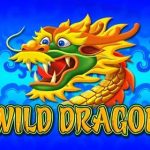 Panduan Bermain Judi Slot Wild Dragon FairSlots